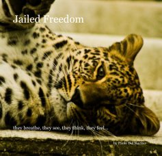 Jailed Freedom book cover