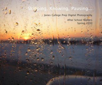 Skipping, Knowing, Pausing... book cover