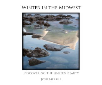 Winter in the Midwest book cover