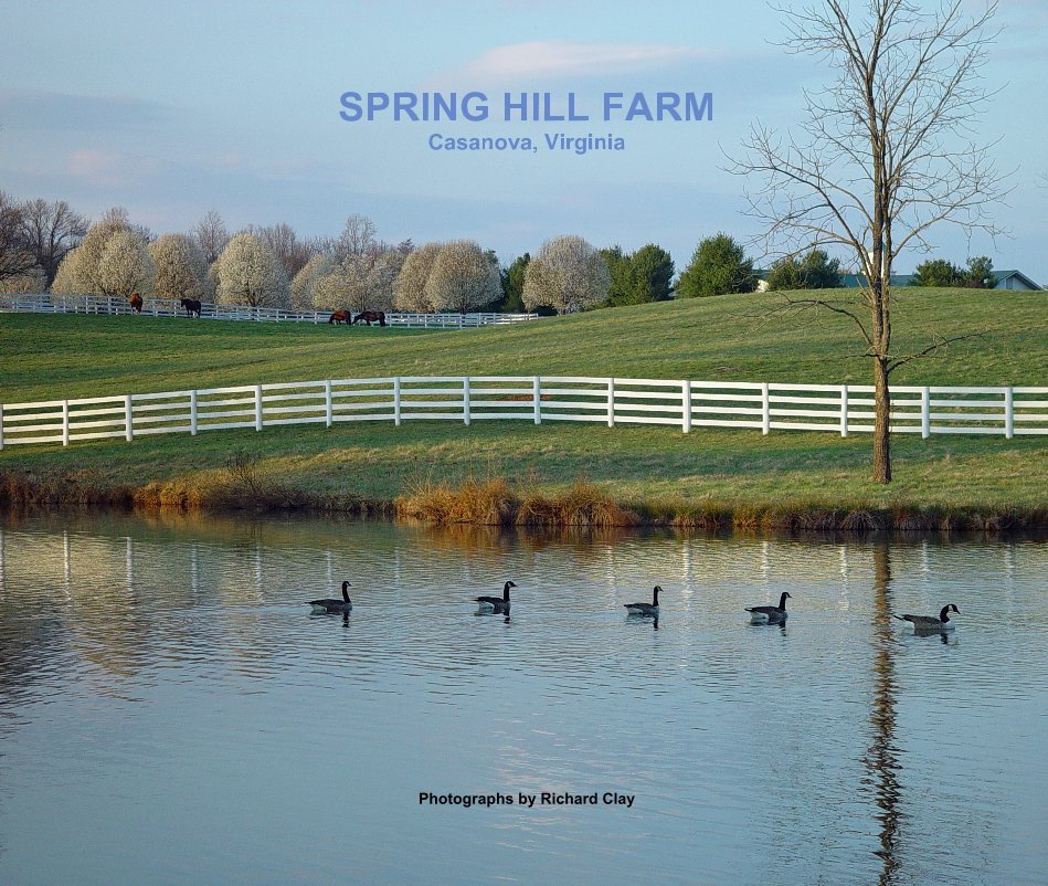 Ver SPRING HILL FARM Casanova, Virginia Photographs by Richard Clay por rclay