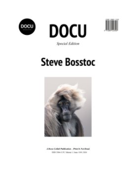 Steve Bosstoc book cover