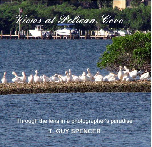 Ver Views at Pelican Cove por T. GUY SPENCER