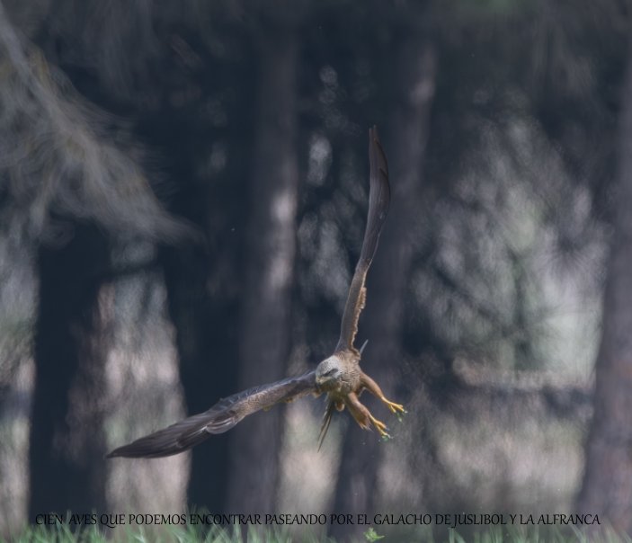 Visualizza Cien aves que podemos encontrar paseando por el galacho de Juslibol y La Alfranca. di ÁNGEL MIGUEL BITRIÁN