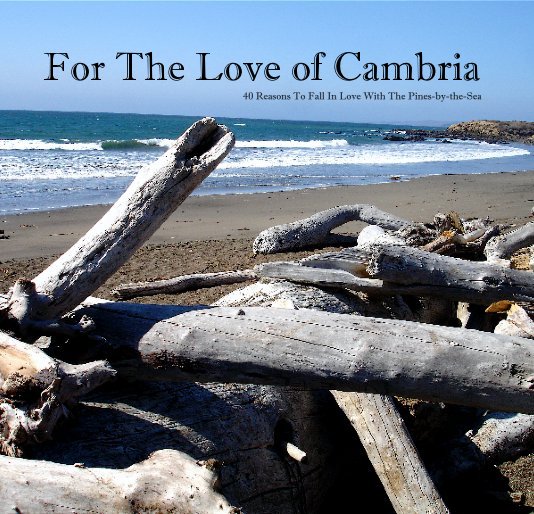 View For The Love of Cambria by David Allen Ibsen