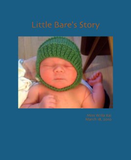 Little Bare's Story book cover
