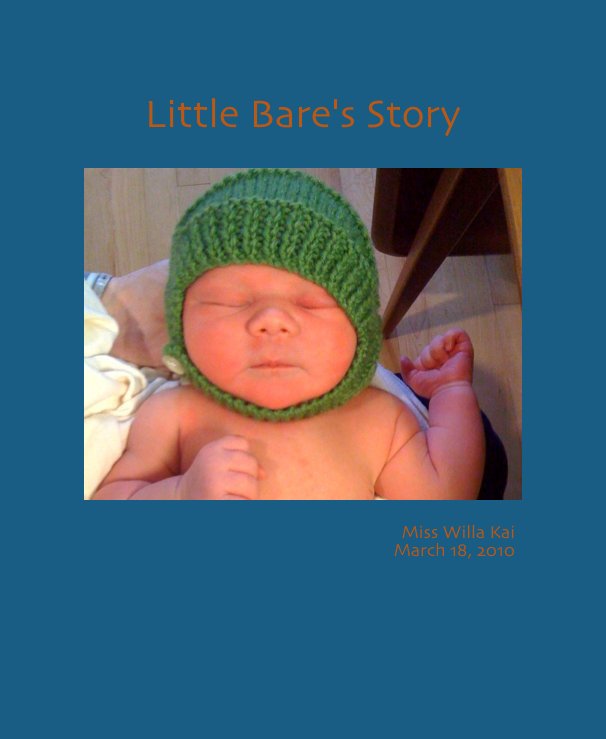 Ver Little Bare's Story por Willa's Village