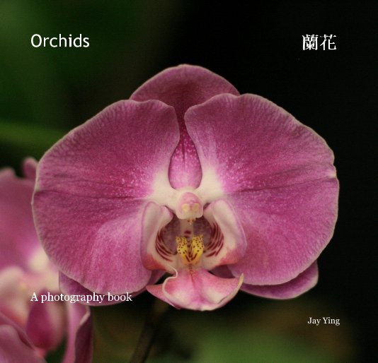 View Orchids by Jay Ying