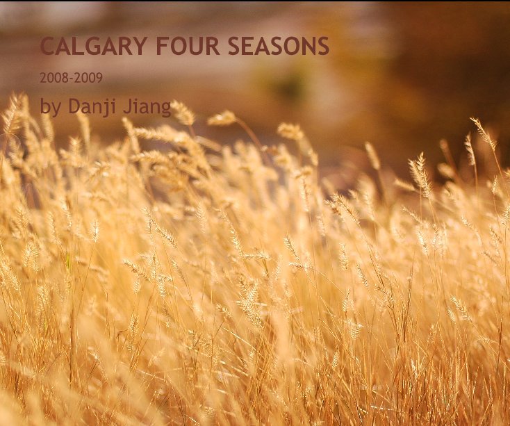 View CALGARY FOUR SEASONS by Danji Jiang