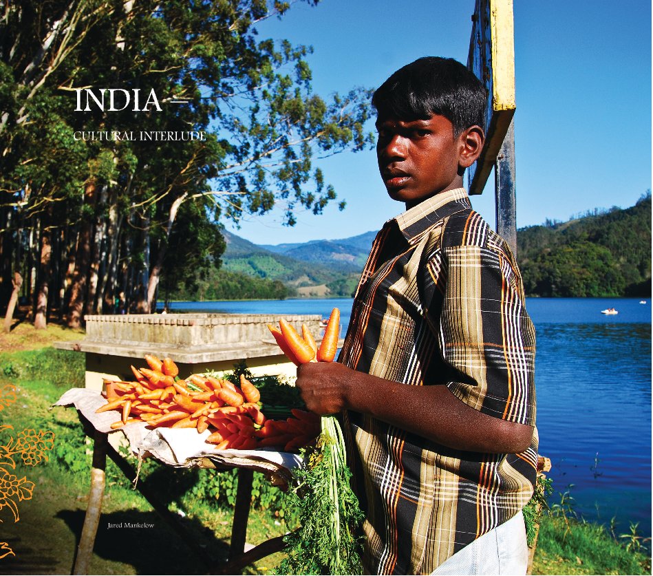 View India - Cultural Interlude by Jared Mankelow