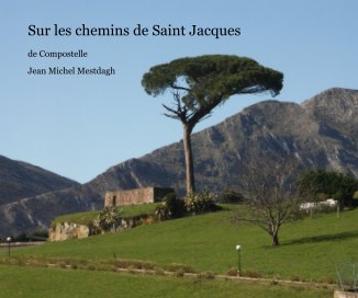 Sur les chemins de Saint Jacques book cover
