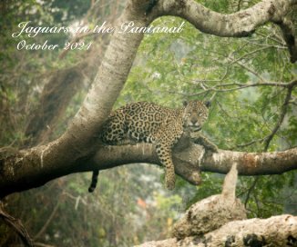 Jaguars in the Pantanal October 2024 book cover