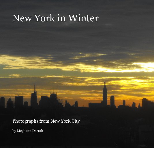 View New York in Winter by Meghann Darrah, Compiled by Wendy Trakes