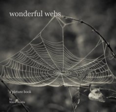 wonderful webs book cover