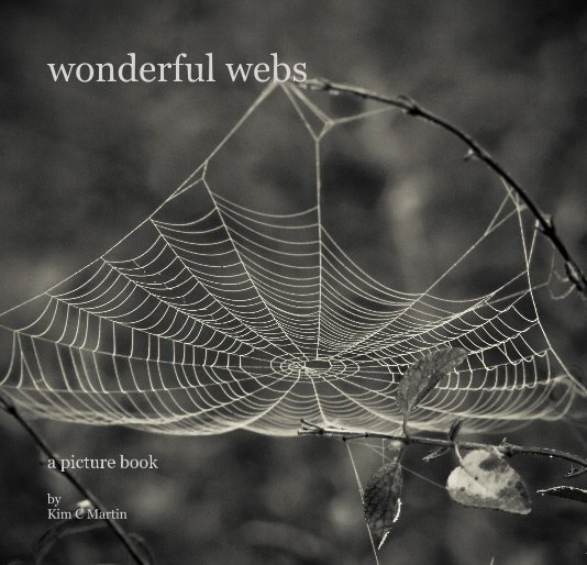 View wonderful webs by Kim C Martin