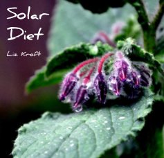 Solar Diet book cover