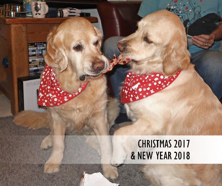 View Christmas 2017 and New Year 2018 by Printroom