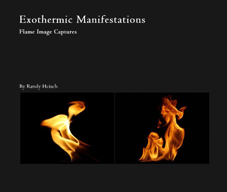Visualizza Exothermic Manifestations di Randy Heisch