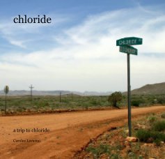 chloride book cover