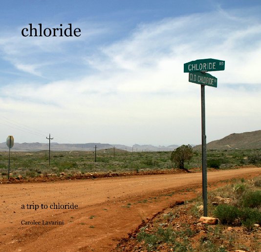 View chloride by Carolee Lavarini