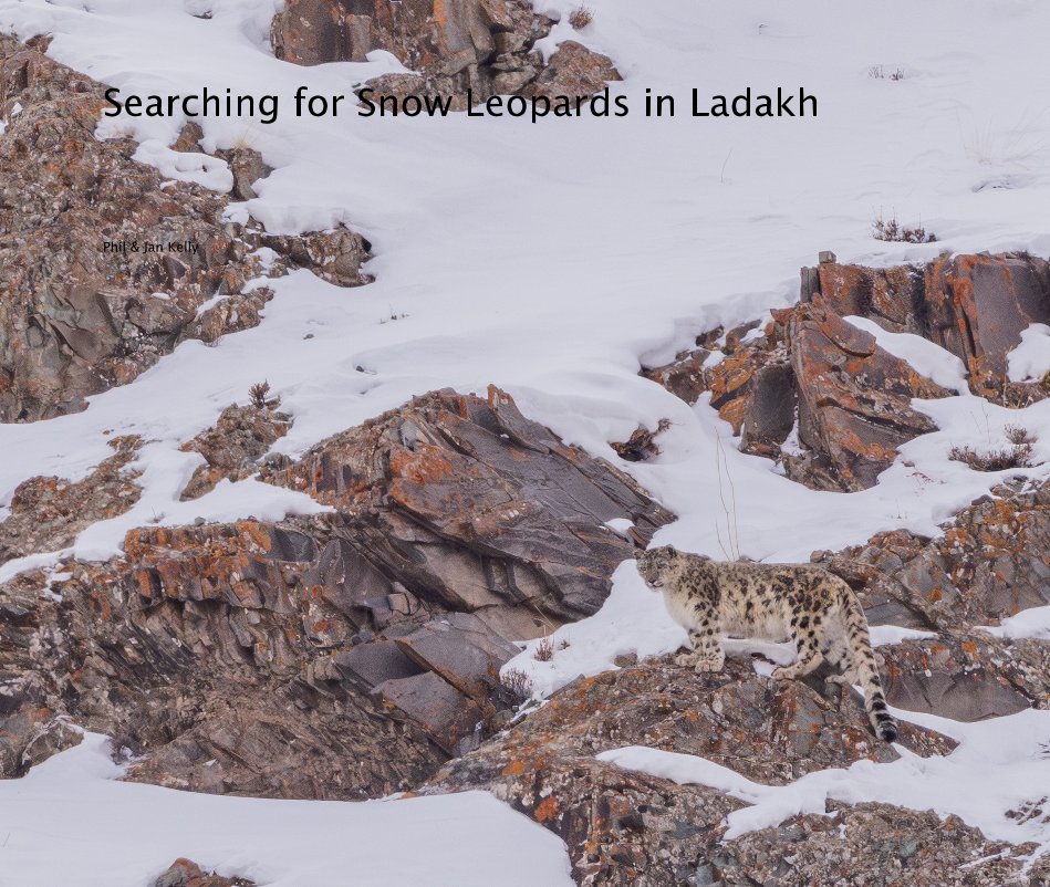 Ver Searching for Snow Leopards in Ladakh por Phil and Jan Kelly