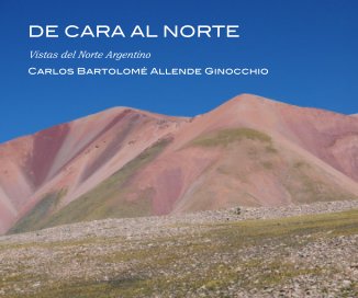 DE CARA AL NORTE book cover