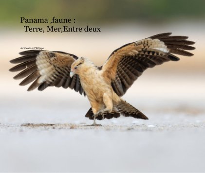 Panama ,faune : Terre, Mer,Entre deux book cover