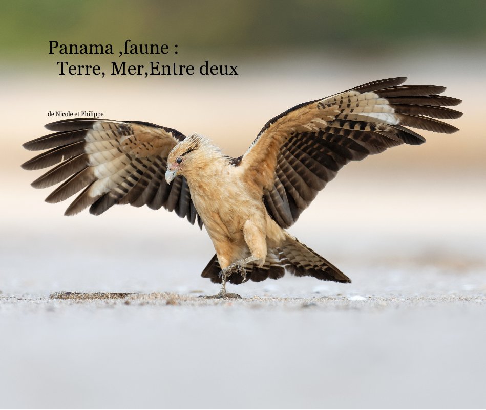 View Panama ,faune : Terre, Mer,Entre deux by de Nicole et Philippe