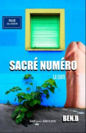 Sacré numéro la suite book cover