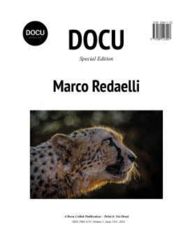 Marco Redaelli book cover