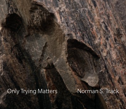 Only Trying Matters book cover