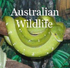 Australian Wildlife book cover