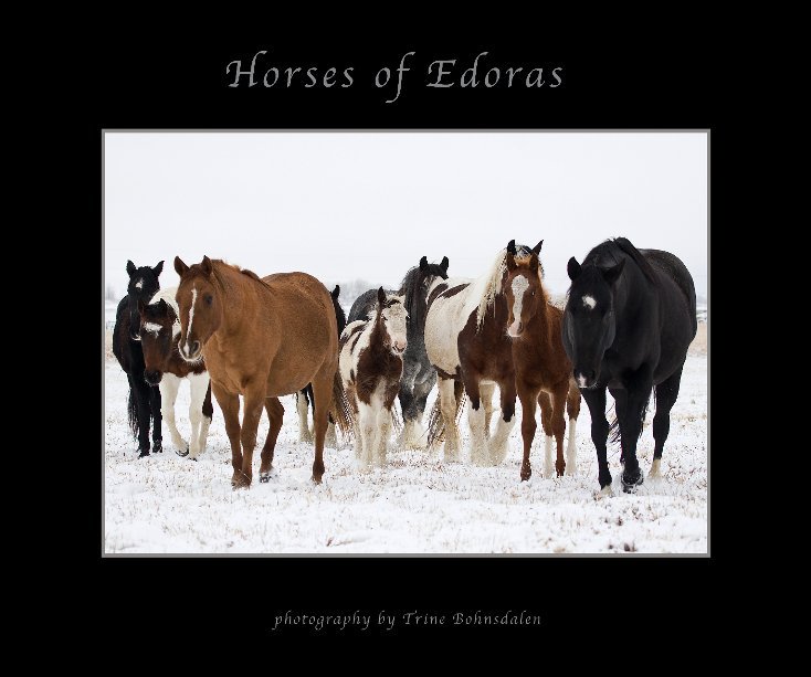 View Horses of Edoras by Trine Bohnsdalen