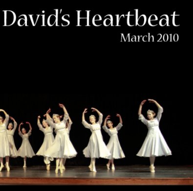 David's Heartbeat book cover