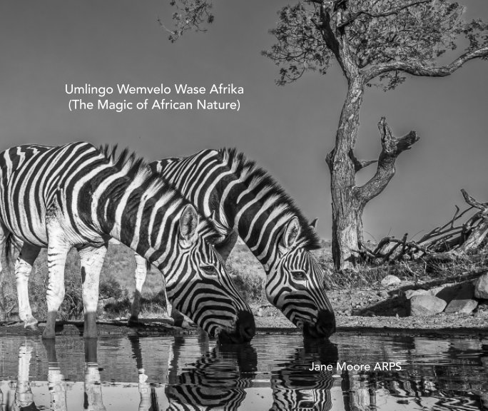 Ver Umlingo Wemvelo Wase-Afrika The Magic of African Nature por Jane Moore