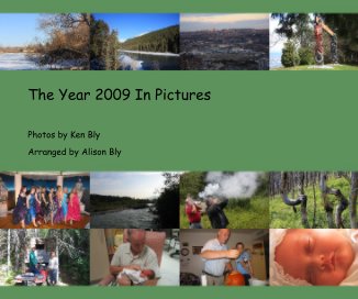 The Year 2009 In Pictures book cover