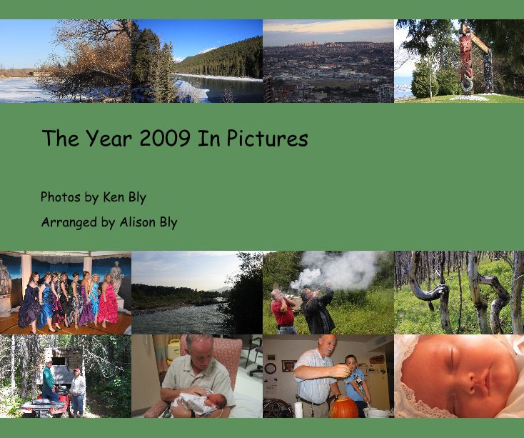 View The Year 2009 In Pictures by Arranged by Alison Bly