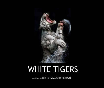 WHITE TIGERS book cover