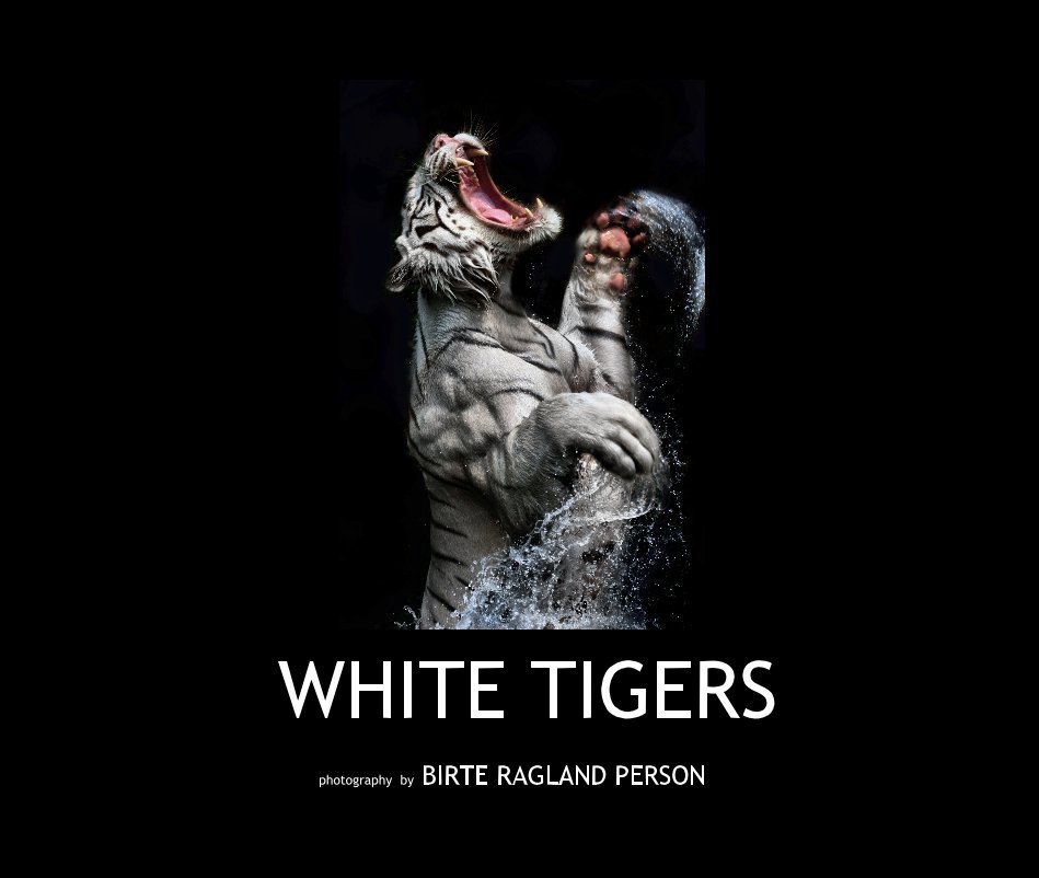 View WHITE TIGERS by photography by BIRTE RAGLAND PERSON