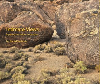 Intimate Views book cover