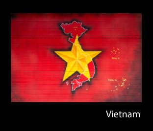 Vietnam - Transições book cover