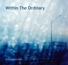 Within The Ordinary book cover