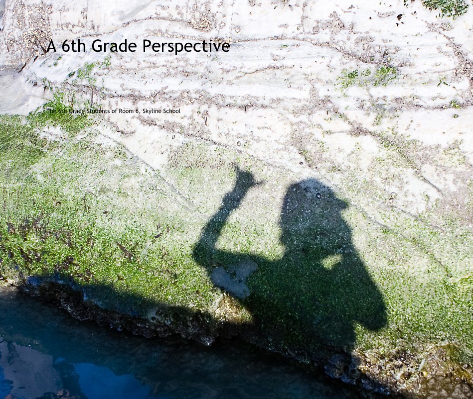 View A 6th Grade Perspective by The 6th Grade Students of Room 6, Skyline School
