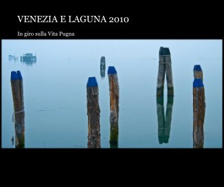 VENEZIA E LAGUNA 2010 book cover
