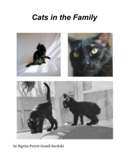 Cats in the Family book cover