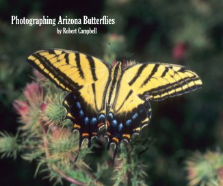 Photographing Arizona Butterflies by Robert Campbell book cover