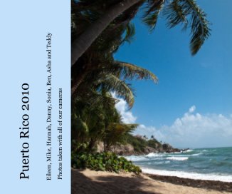 Puerto Rico 2010 book cover