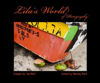 Lila's World of Photography book cover