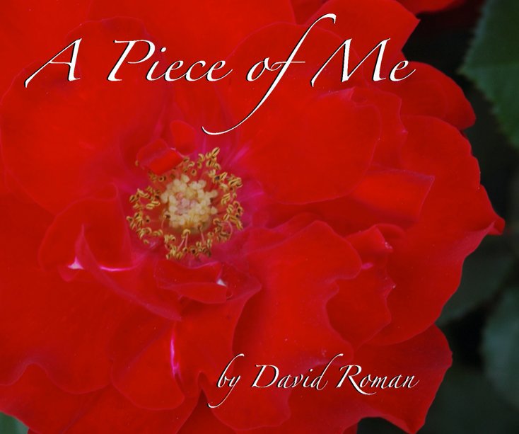 View A Piece of Me by David Roman