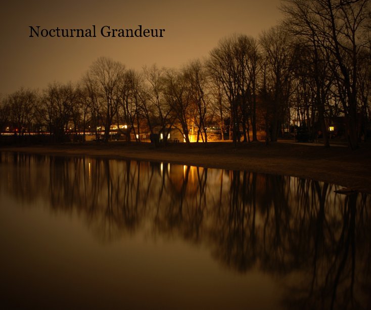 View Nocturnal Grandeur by Matthew Anderson