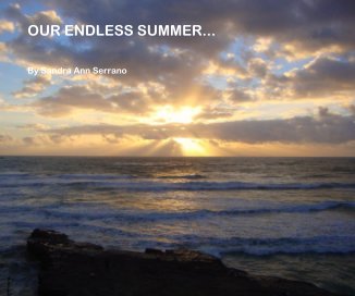 OUR ENDLESS SUMMER... book cover